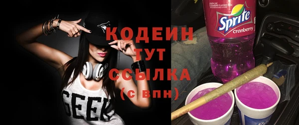 соль ск Туринск