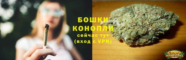 крисы Кирс
