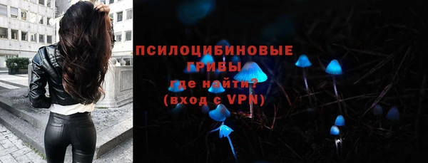 соль ск Туринск