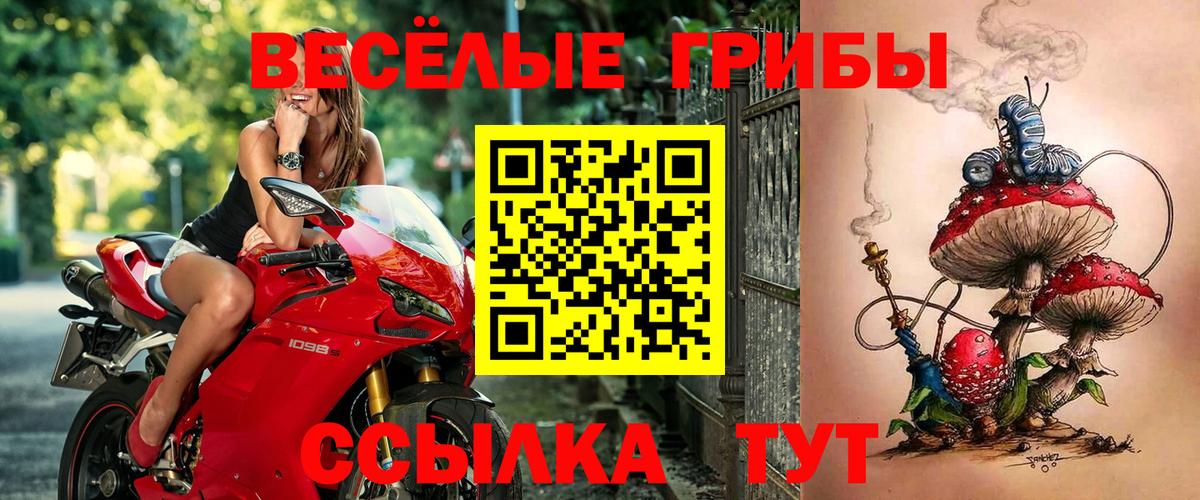 Галлюциногенные грибы мухоморы  Галлюциногенные грибы GOLDEN TEACHER  Белореченск  Вход с VPN 